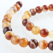 Natural Gemstone Agate Round Bead Strands, Dyed, Chocolate, 6mm, Hole: 1mm, about 63pcs/strand, 15.35 inch(G-E232-06)