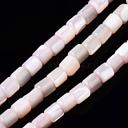 Natural Trochid Shell/Trochus Shell Bead Strands, Dyed, Column, Pink, 3.5x3.5mm, Hole: 1mm, about 111~117pcs/strand, 15.35 inch~15.94 inch(39~40.5cm)(SSHEL-N034-77-C05)