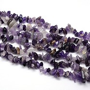 Natural Amethyst Beads Strands, Chips, 8~20x8~18mm, Hole: 1mm, about 31.5 inch(G-O049-C-48)