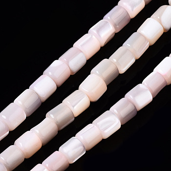 Natural Trochid Shell/Trochus Shell Bead Strands, Dyed, Column, Pink, 3.5x3.5mm, Hole: 1mm, about 111~117pcs/strand, 15.35 inch~15.94 inch(39~40.5cm)