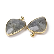 Faceted Natural Labradorite Pendants, with Golden Tone Brass Findings, teardrop, 40x27x7~9mm, Hole: 4x5mm(X-G-F340-02D)