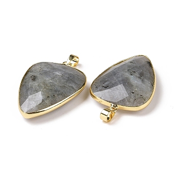 Faceted Natural Labradorite Pendants, with Golden Tone Brass Findings, teardrop, 40x27x7~9mm, Hole: 4x5mm