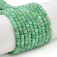 Natural Chrysoprase Beads Strands, Grade AA, Faceted Table Cut Cube, 2x2x2mm, Hole: 0.5mm, about 199pcs/strand, 15.71''(39.9cm)(G-B088-E19-02)