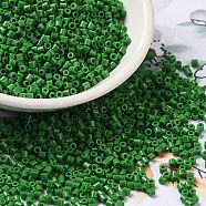Opaque Colours Glass Seed Beads, Cylinder, Green, 2x1.5mm, Hole: 1mm(X-SEED-S042-09B-01)