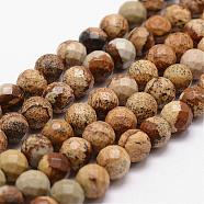 Natural Picture Jasper Beads Strands, Faceted, Round, 8mm, Hole: 1mm, about 44pcs/strand, 14.9 inch~15.1 inch(G-D840-47-8mm)