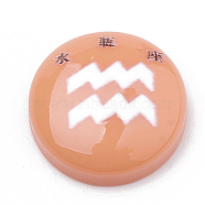 Constellation/Zodiac Sign Resin Cabochons, Half Round/Dome, Craved with Chinese character, Aquarius, Sandy Brown, 15x4.5mm(CRES-N010-07F)