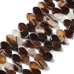 Natural Agate Beads Strands, Dyed & Heated, Top Drilled, Teardrop, Saddle Brown, 8x5x3mm, Hole: 0.8~1mm, about 52~55pcs/strand, 7.48~7.87 inch(19~20cm)(G-G021-04A-04)