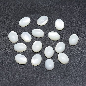 Shell Cabochons, Oval, 14x9~10x4~4.5mm