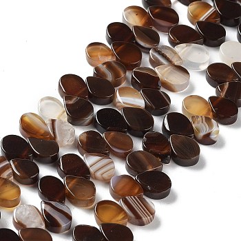 Natural Agate Beads Strands, Dyed & Heated, Top Drilled, Teardrop, Saddle Brown, 8x5x3mm, Hole: 0.8~1mm, about 52~55pcs/strand, 7.48~7.87 inch(19~20cm)
