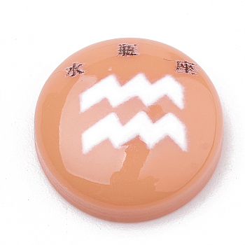 Constellation/Zodiac Sign Resin Cabochons, Half Round/Dome, Craved with Chinese character, Aquarius, Sandy Brown, 15x4.5mm