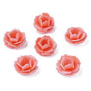 Plastic Beads, Flower, Salmon, 24x23x14mm, Hole: 1.4mm(KY-N015-197A)