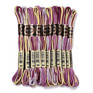 10 Skeins 6-Ply Polyester Embroidery Floss, Cross Stitch Threads, Segment Dyed, Purple, 0.5mm, about 8.75 Yards(8m)/skein(OCOR-K006-A76)