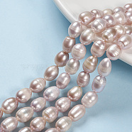 Natural Cultured Freshwater Pearl Beads Strands, Oval, Lilac, 9~11x8~9mm, Hole: 0.8mm, about 35pcs/strand, 14.1 inch(PEAR-R064-16)