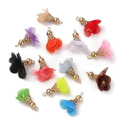 Hot Stamping Polyester Pendant Decorations, with Acrylic and Iron Findings, Flower Charms, Mixed Color, 32~39x12~25x17~27mm, Hole: 2.5~3.2mm(FIND-M007-01KCG)