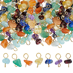 84Pcs 7 Color Natural Gemstone Connector Charms, with 304 Stainless Steel Findings, 12~13mm, Hole: 3~3.5mm, 12pcs/color(PALLOY-FH00127)