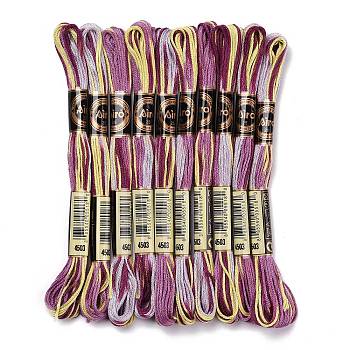 10 Skeins 6-Ply Polyester Embroidery Floss, Cross Stitch Threads, Segment Dyed, Purple, 0.5mm, about 8.75 Yards(8m)/skein
