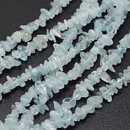 Chips Natural Aquamarine Beads Strands, 3~8x3~12x3~5mm, Hole: 1mm, about 16 inch(G-N0164-24)