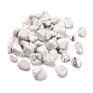 Natural Howlite Beads, No Hole, Nuggets, Tumbled Stone, Healing Stones for 7 Chakras Balancing, Crystal Therapy, Meditation, Reiki, Vase Filler Gems, 9~45x8~25x4~20mm, about 112pcs/1000g(G-O029-08D)