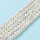 Natural Cultured Freshwater Pearl Beads Strands(PEAR-E018-62)-2