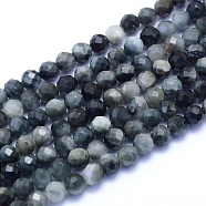 Natural Hawk's Eye Beads Strands, Eagle Eye Stone, Faceted, Round, 4~4.5mm, Hole: 0.6mm, about 86pcs/strand, 15.35 inch(39cm)(G-I279-E14-03)