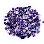 Natural Lepidolite/Purple Mica Stone Tumbled Chips, for Home Crafts Projects and Flower Pot Fish Tank Decoration, 3~5mm(PW-WGA7DCE-21)