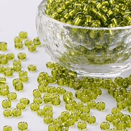 6/0 Glass Seed Beads, Silver Lined Round Hole, Round, Yellow Green, 4mm, Hole: 1.5mm, about 6639 pcs/pound(SEED-A005-4mm-24)