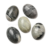 Natural Picasso Jasper Cabochons, Oval, 18x13x5~5.5mm(G-C115-01A-37)