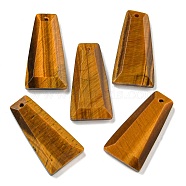 Natural Tiger Eye Pendants, Faceted Trapezoid Charms, 25x13x4mm, Hole: 1mm(G-G123-02A)