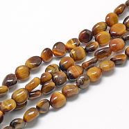 Natural Tiger Eye Beads Strands, Oval, 8~15x7~12x4~12mm, Hole: 1mm, about 30~45pcs/strand, 15.7 inch(G-R445-8x10-05)