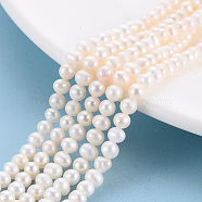 Natural Cultured Freshwater Pearl Beads Strands, Potato, Antique White, 4~5x4~4.5x4~4.5mm, Hole: 0.5mm, about 96~100pcs/strand, 14.96''~15.55''(38~39.5cm)(PEAR-N010-02B-01)