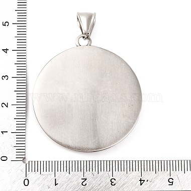 316 Surgical Stainless Steel  Pendants(STAS-Z073-58AS-01)-3