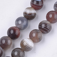 Natural Botswana Agate Beads Strands, Round, 10mm, Hole: 1mm, about 18~20pcs/strand, 7.4 inch(X-G-S333-10mm-026)