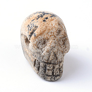 Natural Picture Jasper Beads, Skull, 15~17x19~22x9~13mm, Hole: 3~4mm(G-R398-09)