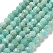 Natural Amazonite Beads Strands, Faceted, Round, 5.5~6mm, Hole: 1mm, about 70~74pcs/strand, 14.57~15.35 inch(37~39cm)(G-J400-E11-04)