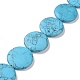 Synthetic Turquoise Beads Strands(G-P469-06)-1