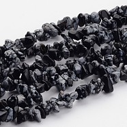 Natural Snowflake Obsidian Beads Strands, Chip, 5~8mm, Hole: 0.3mm, 32 inch(F018)