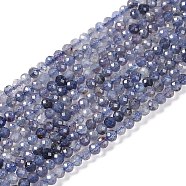 Natural Iolite Beads Strands, Faceted, Round, 3mm, Hole: 0.5mm, about 135pcs/strand, 15.35''(39cm)(G-N342-32)