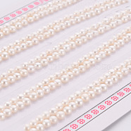 Natural Cultured Freshwater Pearl Beads, Half Drilled, Rondelle, Floral White, 3~3.5x2mm, Hole: 0.8mm, about 130pairs/board(X-PEAR-P056-048)