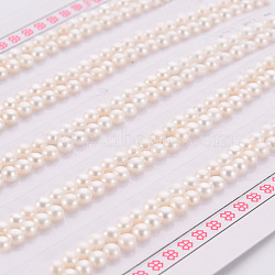 Natural Cultured Freshwater Pearl Beads, Half Drilled, Rondelle, Floral White, 3~3.5x2mm, Hole: 0.8mm, about 130pairs/board(X-PEAR-P056-048)