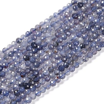 Natural Iolite Beads Strands, Faceted, Round, 3mm, Hole: 0.5mm, about 135pcs/strand, 15.35''(39cm)