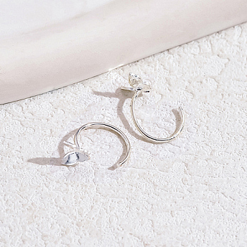 Platinum Brass Dangle Earrings, Butterfly, 15x10mm
