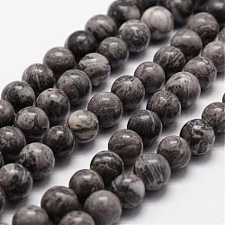 Natural Map Stone/Picasso Stone/Picasso Jasper Bead Strands, Round, 10mm, Hole: 1mm, about 37pcs/strand, 14.9 inches~15.1 inches(G-D840-60-10mm)