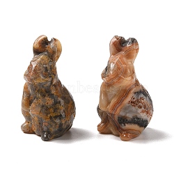 Natural Crazy Agate Sculpture Display Decorations, for Home Office Desk, Rabbit, 38~39.5x24~25.5x21~22mm(G-C244-01F)