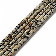 Natural Dalmatian Jasper Beads Strands, Column, 7~8x4mm, Hole: 0.9mm, about 54pcs/strand, 15.47''(39.3cm)(G-I326-07)