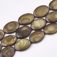 Freshwater Shell Beads Strands, Dyed, Oval, Olive, 17.5~18x12~13x3mm, Hole: 1mm, about 23pcs/strand, 16.3 inch(SHEL-S274-37B)