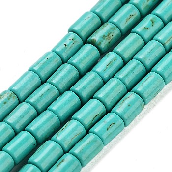 Synthetic Turquoise Beads Strands, Dyed, Column, Light Sea Green, 6x4mm, Hole: 1mm, about 64pcs/strand, 15.5 inch