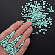 6/0 Glass Seed Beads(SEED-T005-14-B25)-6