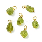 Raw Rough Natural Peridot Pendant Pendants, Nuggets Charms, Golden, 12~14x7~9x4.5~8mm, Hole: 3.5mm(PALLOY-JF05641)