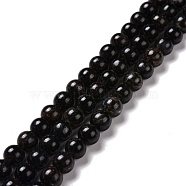 Natural Astrophyllite Beads Strands, Round, 6mm, Hole: 1mm, about 66pcs/strand, 15.55''(39.5cm)(G-A202-01A)