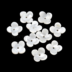 Natural Freshwater Shell Bead Caps, Flower, Seashell Color, 8~8.5x2.5mm, Hole: 1mm(BSHE-G034-16)